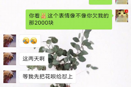 蒲江专业讨债公司有哪些核心服务？
